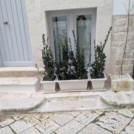 Saliscendi In Centro Apartment Putignano
